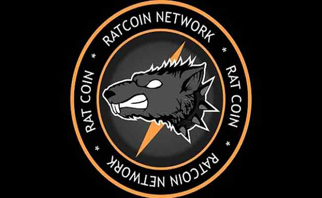 Who Owns Ratcoin? Rat Coin All Details And Owner Info
